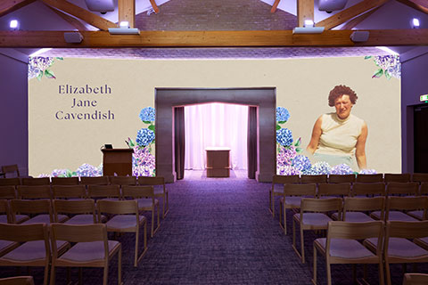 Hydrangeas Projection Image