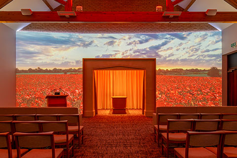 Poppy Field Projection Image