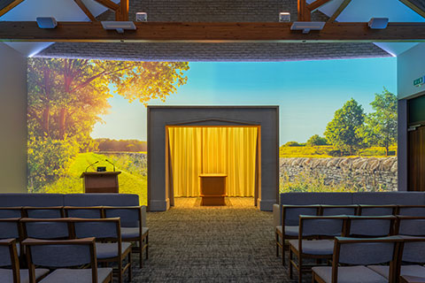 Summer Projection Image